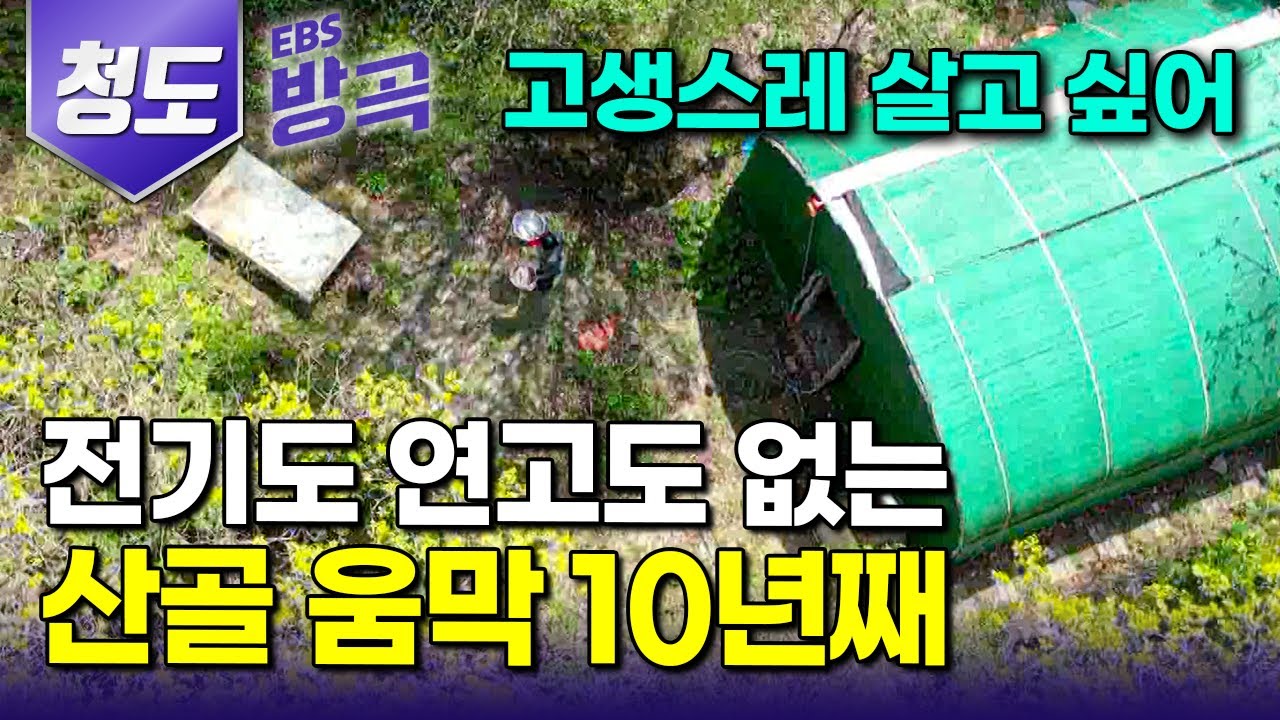 [경북 청도] "진짜 제대로 차려먹고 산다" 하루 3,000인분 식사 책임지다 오롯이 나만을 위한 한 끼 하고 싶어 전기도 없는 산중 움막 홀로 들어와 10년｜