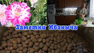 Картошка дома - к зиме готовы