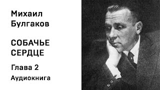 М А Булгаков Собачье сердце Глава 2 Аудиокнига Слушать Онлайн