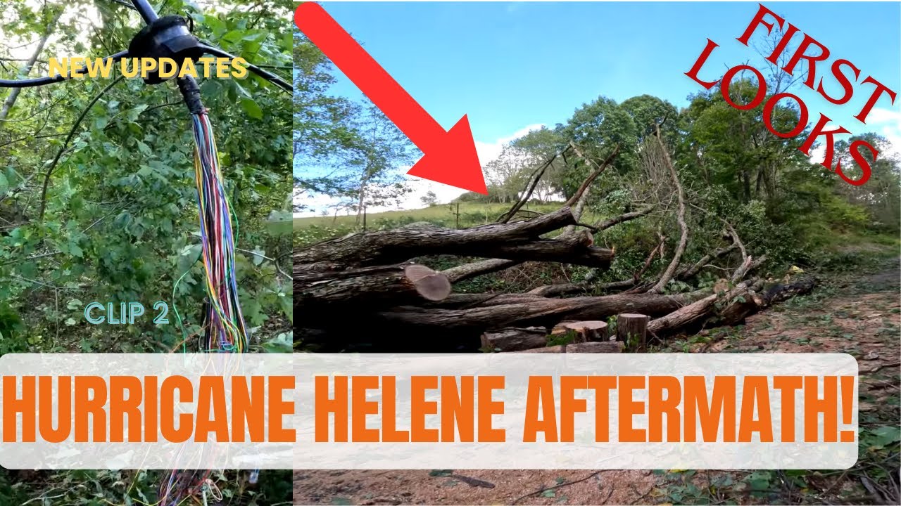 HURRICANE Helene FIRST LOOKS! (Our 100 Year Old Oak Tree Is Gone) - YouTube