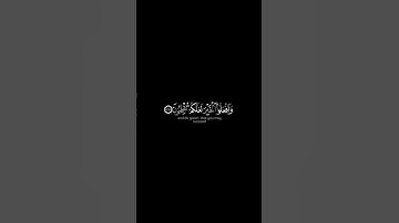 يا أيها الذين آمنوا اركعوا واسجدوا شاشة سوداء _ #سورة_الحج_ #عبدالله_الخلف __قرآن
