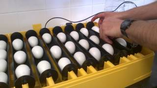 Brinsea Ovation 56 EX Egg Incubator