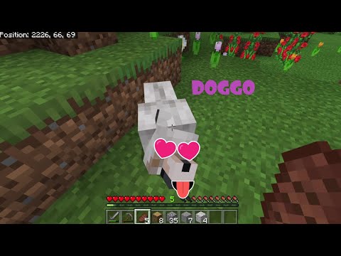 I FOUND A DOGGO!! (Minecraft Ep. 3) 