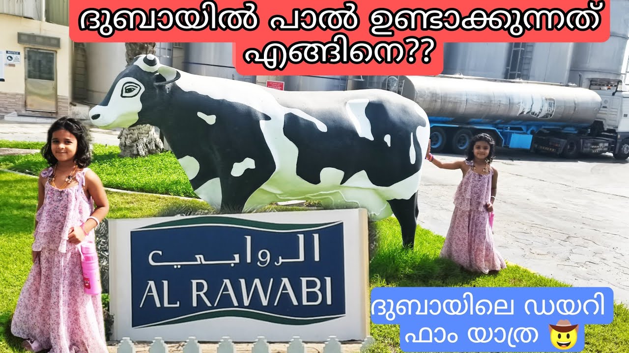 ദുബായിൽ പാൽ ഉണ്ടാകുന്നത് എങ്ങിനെ?/Dubai Dairy Farm Tour/Dubai Alrawabi Farm Tour Free Entry.Trending