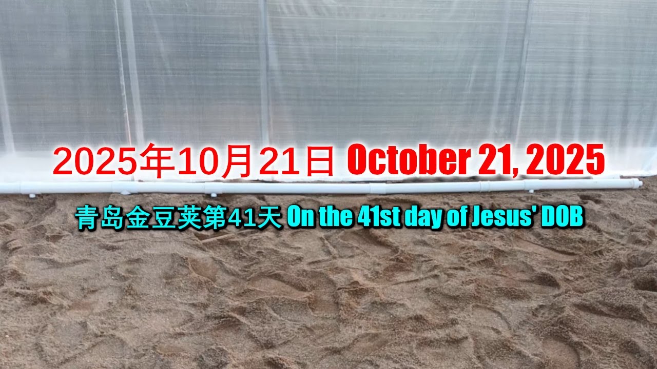 PyraPOD with iAVs in Qingdao (41): On the 41st day after breaking the ground on September 11, 2025