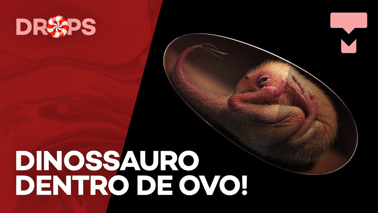 Primeiros dinossauros botavam ovos de casca mole, revela estudo - TecMundo