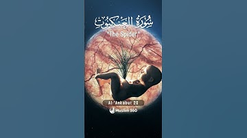 Surah Al-Ankabut 20 | Urdu-Hindi Audio Translation | سورة العنكبوت | #surah #islamdaily #quran