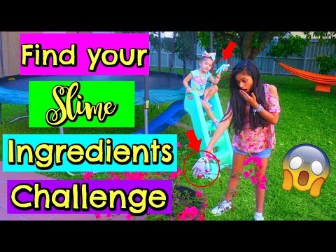 Find Your Slime Ingredients Challenge!!! SIS VS SIS