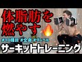 【ダンベルで痩せる】単関節運動なし！地獄の全身運動サーキットトレーニング