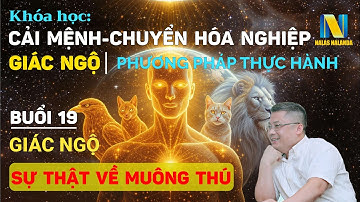 Buổi 19 | Khoá Học Cải Mệnh, Chuyển Hoá Nghiệp Và Giác Ngộ: Giác Ngộ Sự Thật Về Muông Thú