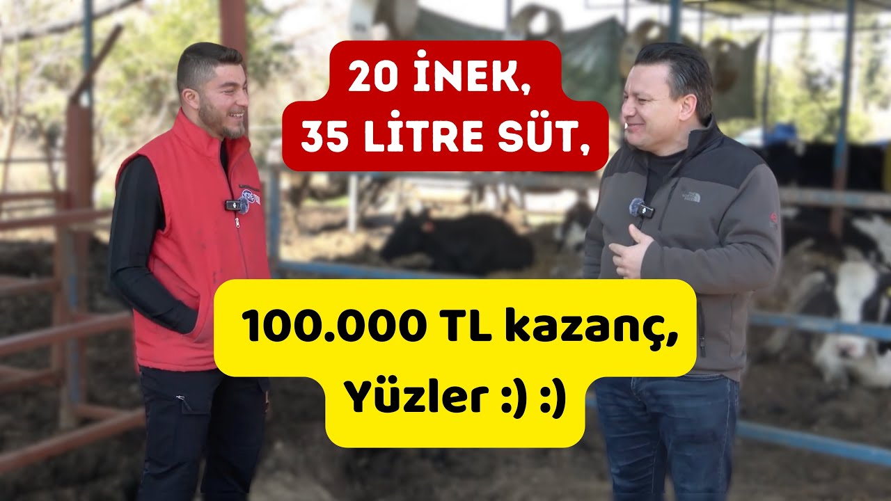 20 İnekle 100 Bin TL Kazanç! - Ekstrem Hayvancılık 1. Bölüm
