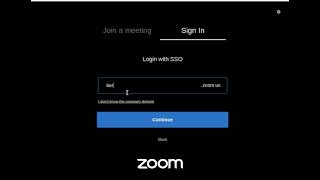 Signing Into Zoom with SSO - Chromebook