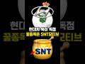 현대 업고 전기차+방산 둘 다 잡은 종목! #SNT