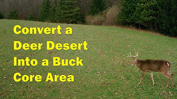 Converting a Hay Field into a Buck Rutting Zone With Switchgrass and Trees