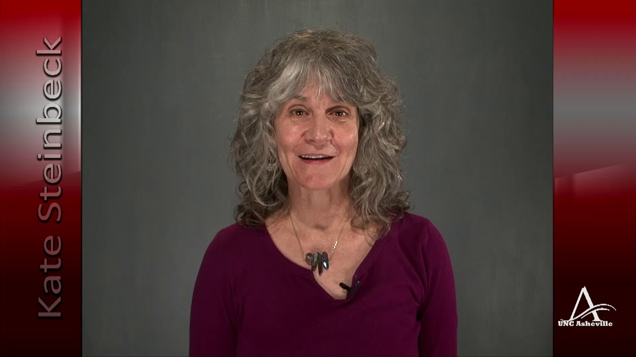 Kate Steinbeck Internship