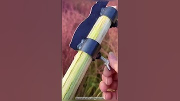 Tree cutting process- Great tools and machinery increases work efficiency