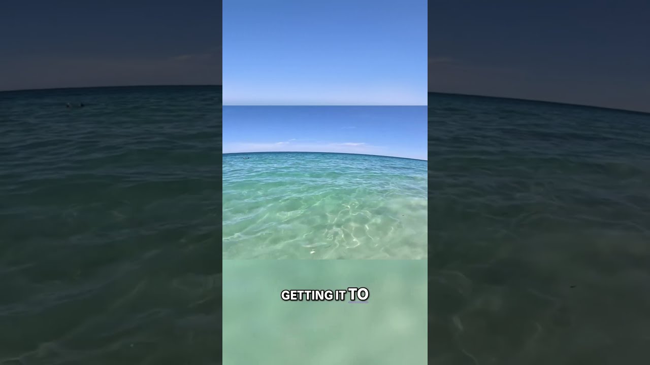 Shark Attack Aftermath Shocking Beach Discovery