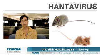 HANTAVIRUS. Dra. Silvia González Ayala. FEMEBA OFICIAL