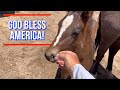 JULY 4TH CELEBRATION | SHOWING SKIN AND GETTING WET ON THE RANCH #jheart #4thofjuly #watertrough