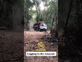 Progress won’t stop! Logging in the Amazon! #goldrush #jungle #mining #mininglife #logging