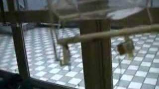 SSFC20070630