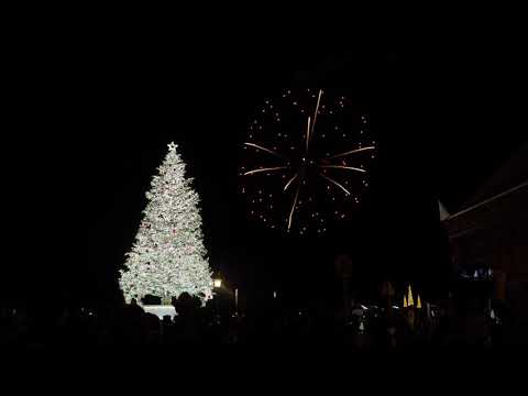 はこだてクリスマスファンタジー　はこだて冬フェスティバル　巨大ツリー　イルミネーション　花火　４K動画　きよしこの夜　BGM　 　Hakodate Christmas Fantasy