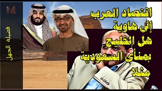 فضيلة الجهل | 91|  اقتصادات العرب في خطر هل دول الخليج بمنأى تحديدا السعودية| محمد علاونة