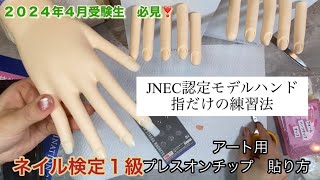 ネイル検定１級【アート用チップの貼り方】JNEC認定モデルハンド(指