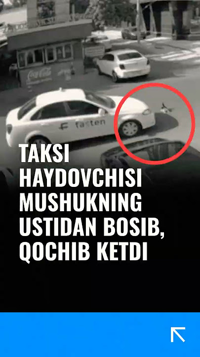 Taksi haydovchisi video Taksi haydovchisi video