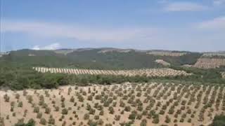 Efrîn Ê Ber Nadim