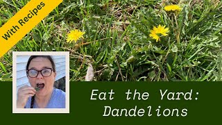 Dandelions & Cooking Them