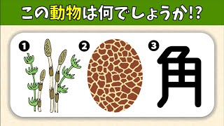 【動物当てクイズ】脳トレに最適！3つのヒントから動物名を連想しよう【全10問】