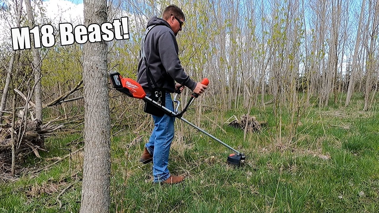 9 Best String Trimmers 2019