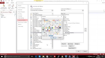 Access: show the switchboard manager option on the menu