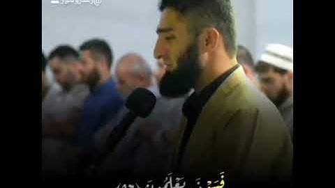 🎤القارئ هلويست نصرالدين