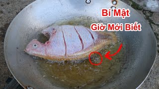 Bí Mật 50 Năm Giờ Mới Biết Được ! Bí Quyết Chiên Cá Để Lâu Vẫn Giòn Không Bị Dịu , Mềm , Yểu Cực Hay