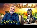 Interview of sardar abdul qayom khan best pakistani dog lover of bully kutta