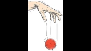 Phillip Clendenin Phys 2211 Lab 2 Motion of a Falling Object
