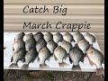 Simple tactics for Big March Crappie/Crappie Fishing in March/Tips,locations and lures for crappie