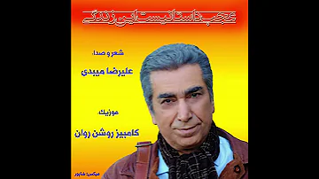 علیرضا میبدی عجب داستانیست این زندگی 
