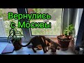 Влог//ПОЯВИЛАСЬ КОШКА//ВЕРНУЛИСЬ С МОСКВЫ