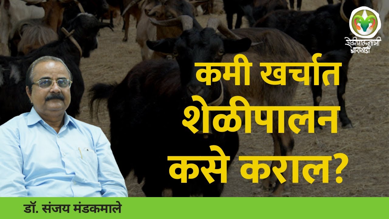 Goat Farming Guide Part - 3 | शेळी पालनाच्या विविध पद्धती कोणत्या?  | Agrowon