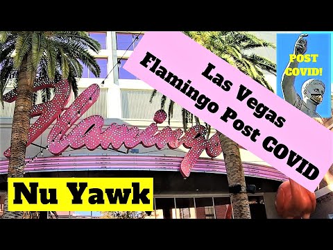 Video: Flamingo Las Vegas Hotel and Casino Justo en el Strip