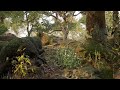 Megascans Jungle Collection for unity assets