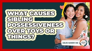 What Causes Sibling Possessiveness Over Toys Or Things? - Sibling Harmony Hub