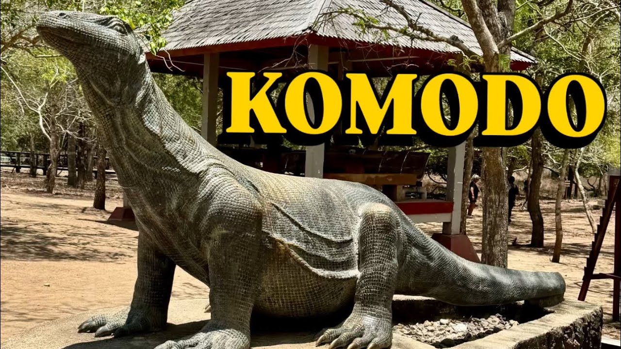 12. Komodo | Raw travel video