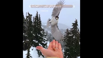 تلاوة تريح النفوس المتعبة😔🍃🕊😊 تألق القارئ هزاع البلوشي😇