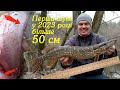 Псел! Зимовий спінінг у січні! Щука 56 см! Якісь ЧЕРВ&#39;ЯКИ в ОКУНЯХ! Тепер всю рибу відпускаю...