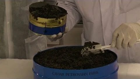 Quanto costa il caviale bianco?