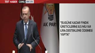 Cumhurbaşkanımız Sayın Recep Tayyip Erdoğan Fındık Alım Fiyatı Açıklaması